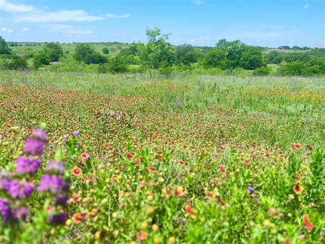 LOT69 GREENWOOD ROAD, COMANCHE, TX 76442, photo 1 of 7