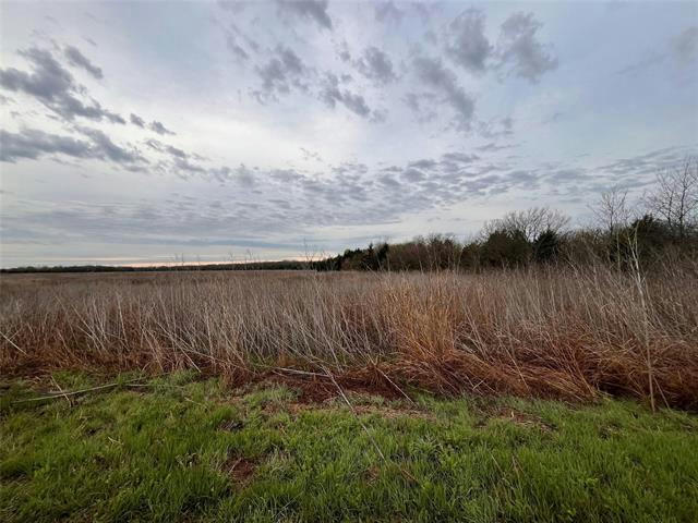 0 000 CR-4911 # LOT 1, LADONIA, TX 75449, photo 1 of 19