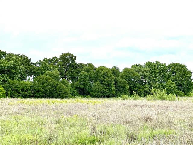TBD LOT 1 CR 433, STEPHENVILLE, TX 76401, photo 1 of 14
