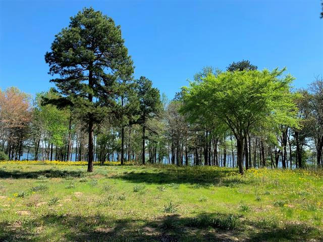 3110 SHADOW PINE DRIVE, LARUE, TX 75770, photo 1 of 9