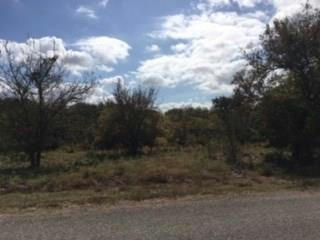 1173 OVERLOOK DR, WHITNEY, TX 76692, photo 1 of 3