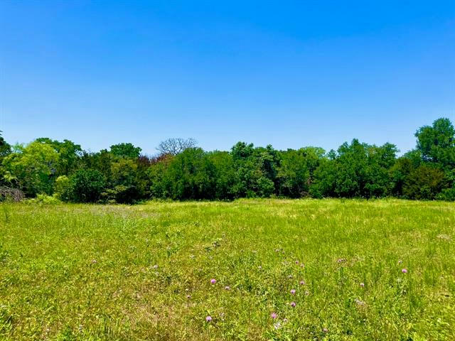 LOT 87 KERRY CT, POOLVILLE, TX 76487, photo 1 of 18