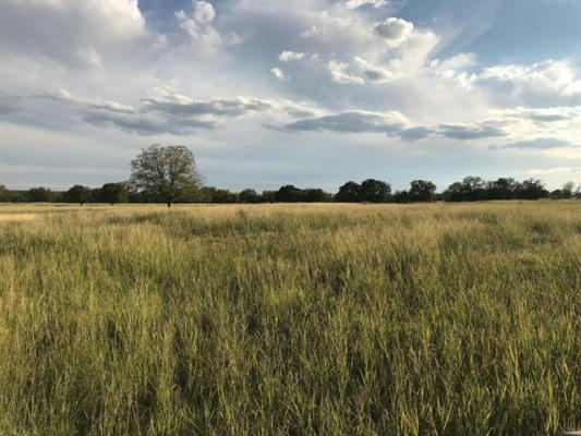 TBD COUNTY ROAD 2480 TRACT #1, HICO, TX 76457, photo 2 of 25