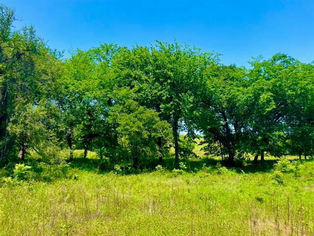 LOT 90 KERRY CT, POOLVILLE, TX 76487, photo 1 of 18