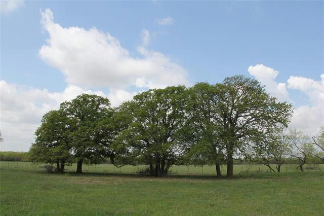 3933 HIGHWAY 1027, CARBON, TX 76435, photo 1 of 31