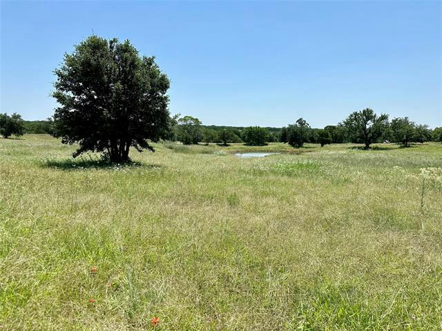 324 ARBORVIEW DR, WEATHERFORD, TX 76088, photo 1 of 8