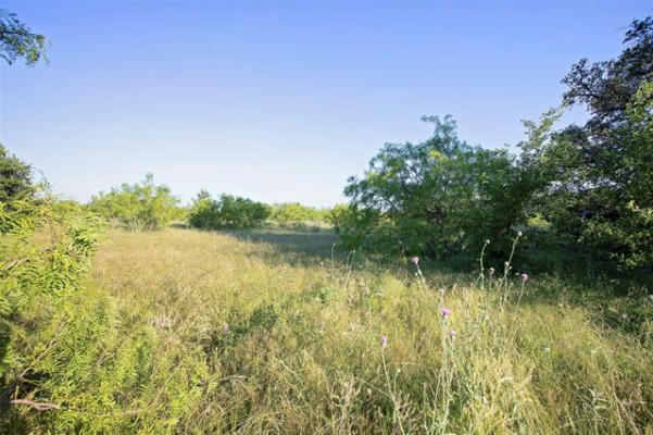 LOT 447 INDIGO BUSH COURT, GRAFORD, TX 76449, photo 3 of 18