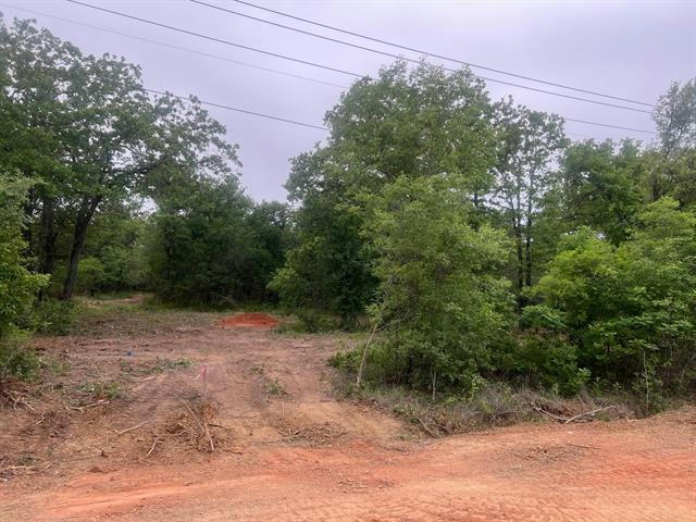 0 HAMILTON, MINERAL WELLS, TX 76067, photo 1