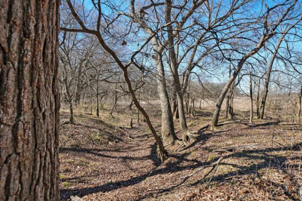 LOT 6 TBD COUNTY ROAD 102, GRANDVIEW, TX 76050, photo 3 of 15