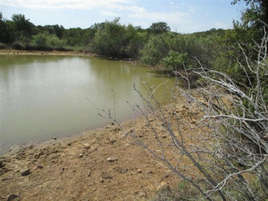 80 AC HWY 16, LOVING, TX 76460, photo 3 of 11