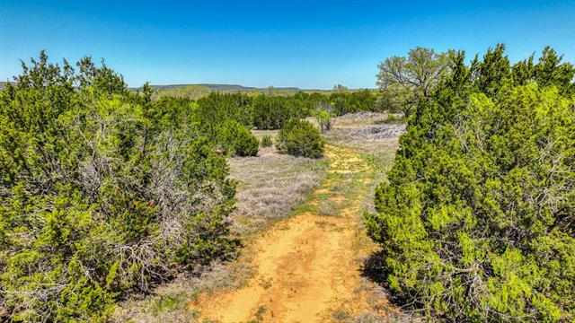 1570 BROWN RD, PALO PINTO, TX 76484, photo 4 of 21