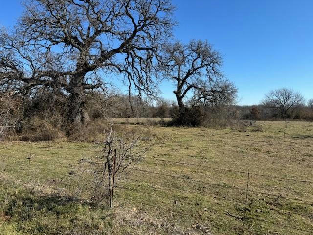 668 COUNTY ROAD 1340, CHICO, TX 76431, photo 1 of 6