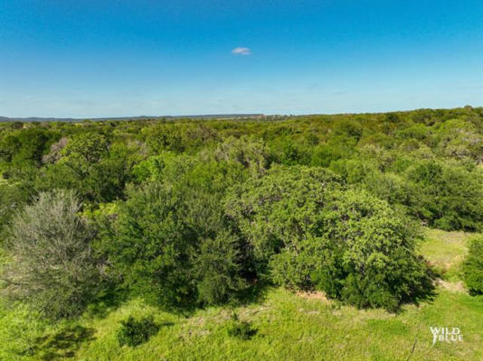 LOT 48 NEW HOPE ROAD ROAD, PALO PINTO, TX 76474, photo 4 of 40