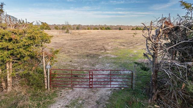 TBD COUNTY ROAD 3365, LADONIA, TX 75449, photo 2 of 27