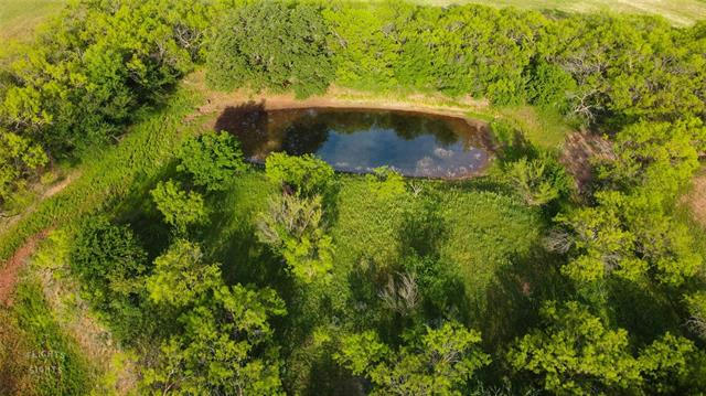 TBD APPROX 32 ACRES CR 133, TUSCOLA, TX 79562, photo 3 of 20