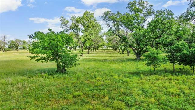 179 COUNTY ROAD 348, GORMAN, TX 76454, photo 4 of 15