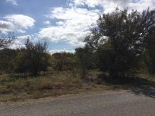 1173 OVERLOOK DR, WHITNEY, TX 76692, photo 3 of 3