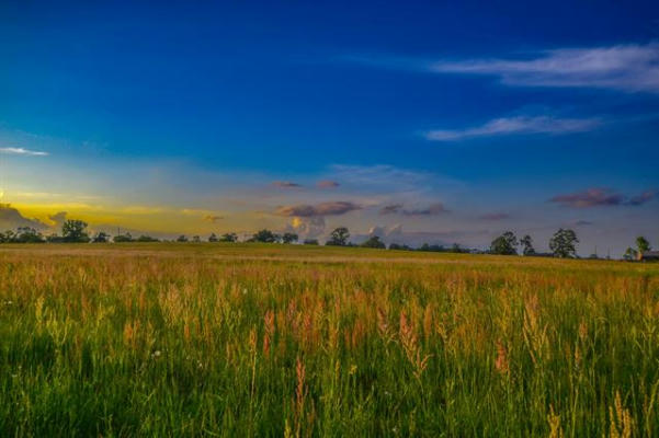 TBD VZ COUNTY ROAD 4212, BEN WHEELER, TX 75754, photo 4 of 13