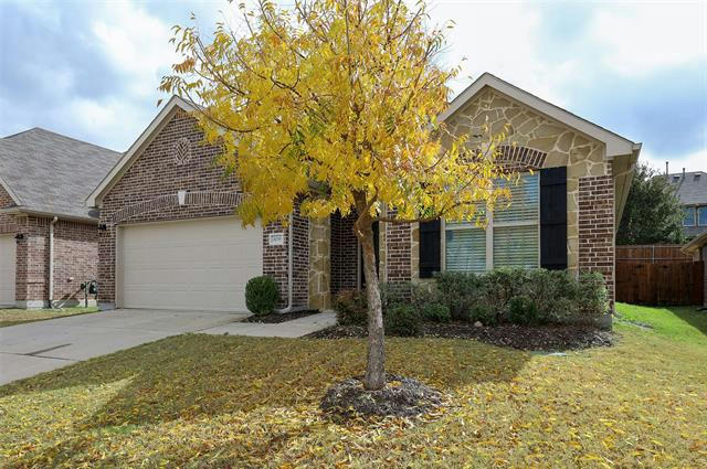 Golden Tree Maintenance - Lewisville - Little Elm