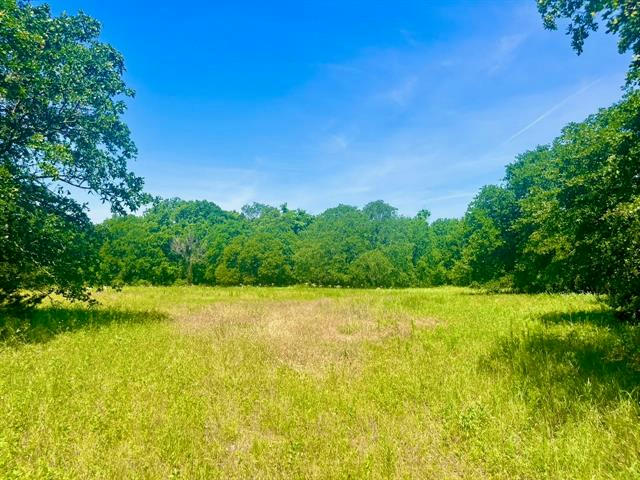LOT 98 ARLOW RD, POOLVILLE, TX 76487, photo 1 of 18