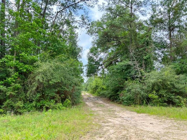 005 OLD ARCO RD, SILSBEE, TX 77656, photo 1 of 8