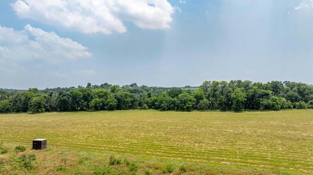 TBD PRIVATE ROAD 1562, STEPHENVILLE, TX 76401 - Image 1