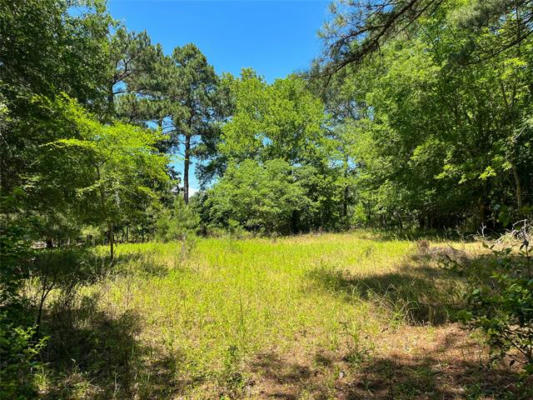 354 AN COUNTY ROAD 354, PALESTINE, TX 75803, photo 2 of 39