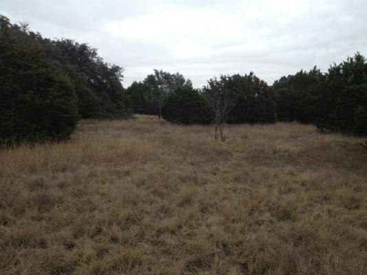 TBD COUNTY ROAD 142, NO CITY, TX 76528, photo 3 of 5