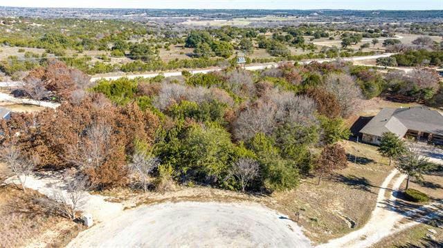 314 LAKE RIDGE CT, BLUFF DALE, TX 76433, photo 3 of 34