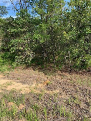 LOT 50 JIM WALTERS DRIVE, RUNAWAY BAY, TX 76426, photo 2 of 14