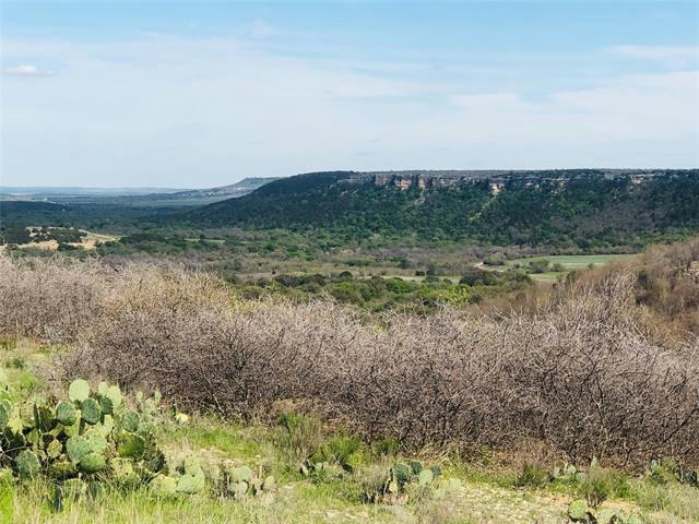 220 OAK TREE DR, POSSUM KINGDOM LAKE, TX 76449, photo 1 of 12