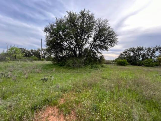 TBD COUNTY ROAD 225, BROOKESMITH, TX 76801, photo 3 of 28