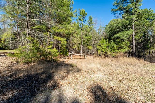 LOT 195 GREEN MEADOW TRAIL, HOLLY LAKE RANCH, TX 75765, photo 1 of 22