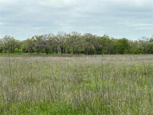 234 COUNTY ROAD 266, RISING STAR, TX 76471, photo 3 of 9