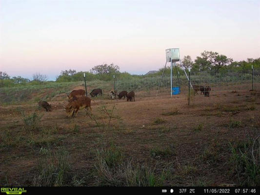 TBD U S HIGHWAY 277, BRONTE, TX 76933, photo 2 of 31