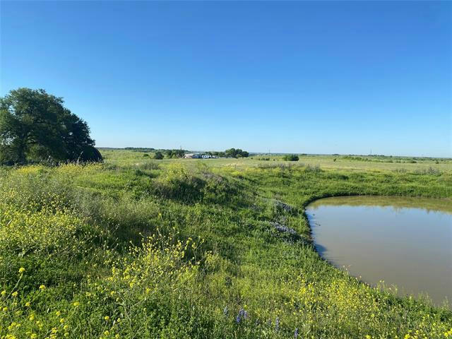 1391 COUNTY ROAD 112, BUCKHOLTS, TX 76518, photo 1 of 40