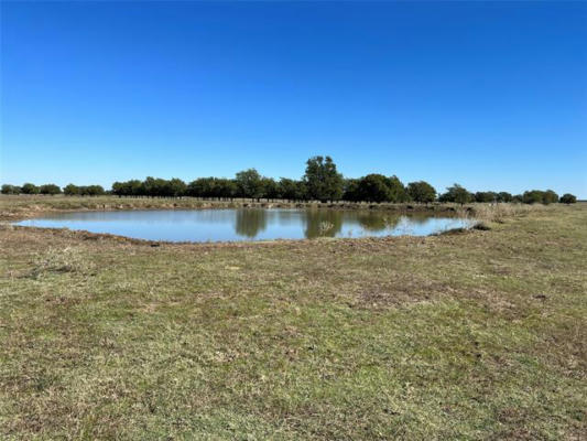 TRACT 5 COUNTY RD 2840, HONEY GROVE, TX 75446, photo 2 of 6