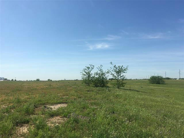 1033 LILLY LANE, PEASTER, TX 76485, photo 1 of 4