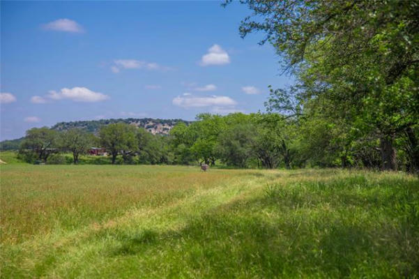 180 COUNTY ROAD 140, GOLDTHWAITE, TX 76442, photo 3 of 29