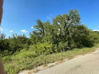 7151 LOVERS LN, BROWNWOOD, TX 76801, photo 2 of 5