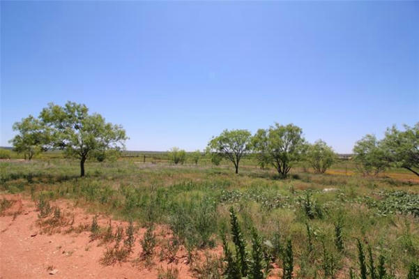 LOT 6 MARSHAL TRAIL, TUSCOLA, TX 79562, photo 3 of 12