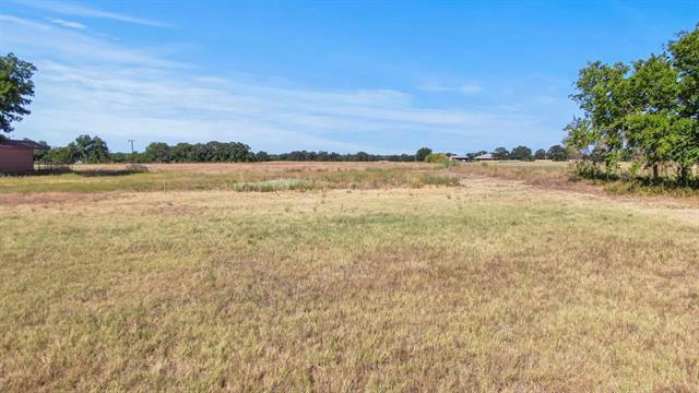 9001 ASBURY RD, TOLAR, TX 76476, photo 4 of 5