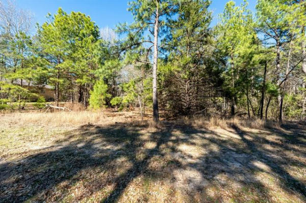 LOT 195 GREEN MEADOW TRAIL, HOLLY LAKE RANCH, TX 75765, photo 3 of 22