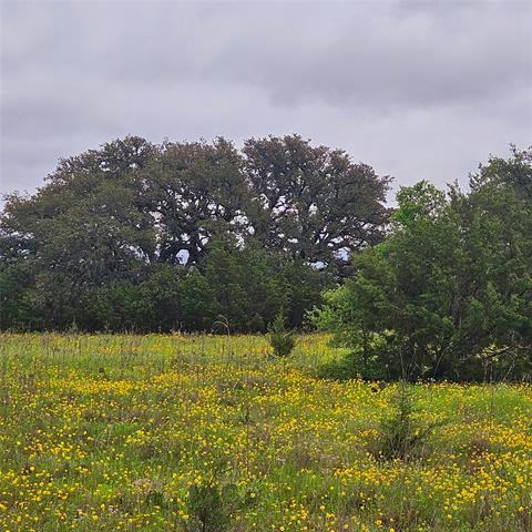 TBD FM-1238, IREDELL, TX 76649, photo 1 of 9