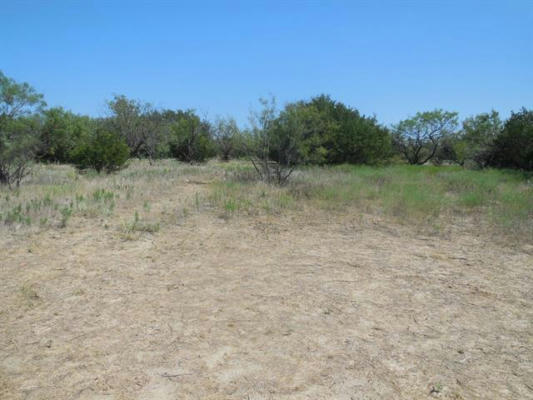 LOT 41 COUNTY ROAD 136, RANGER, TX 76470, photo 2 of 10