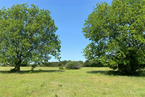 TBD4 COUNTY RD 141, CALLISBURG, TX 76240 - Image 1