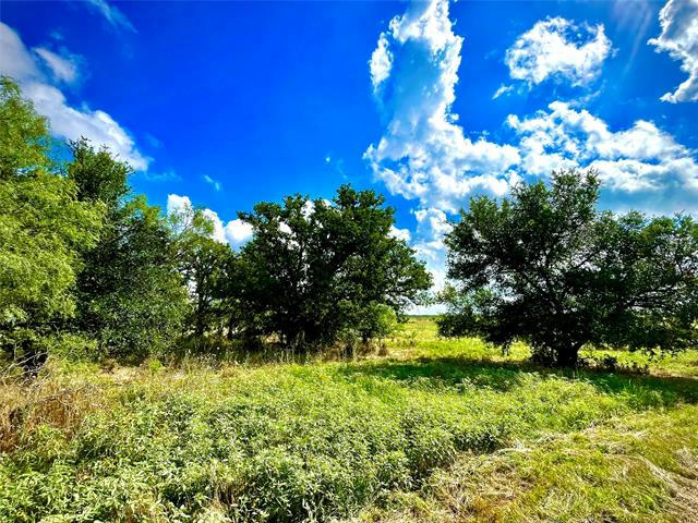 10850 N HIGHWAY 281, PERRIN, TX 76486, photo 1 of 31