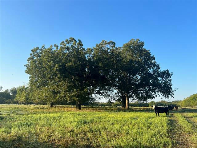 TBD COUNTRY ROAD 2070, COMMERCE, TX 75428, photo 1 of 12