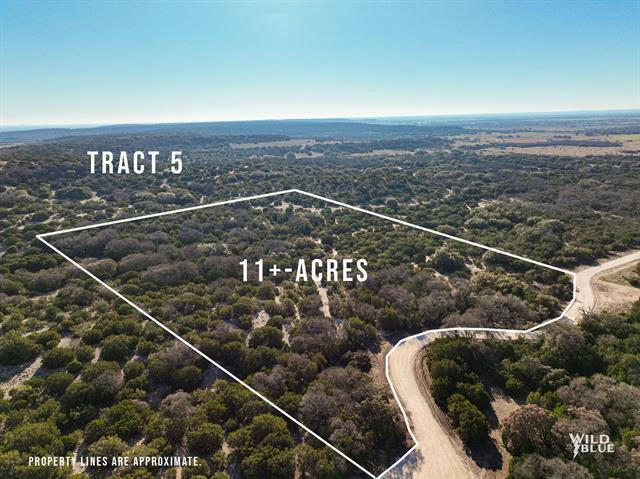 TRACT 5 COUNTY RD 140, OVALO, TX 79541, photo 1 of 8