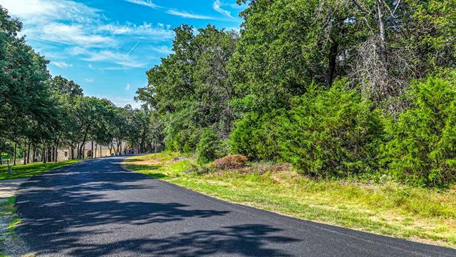 LOT 121 - R LINCOLN DRIVE, STREETMAN, TX 75859, photo 3 of 38